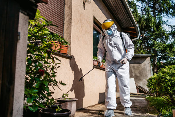 Bird Control in Elizabeth, PA