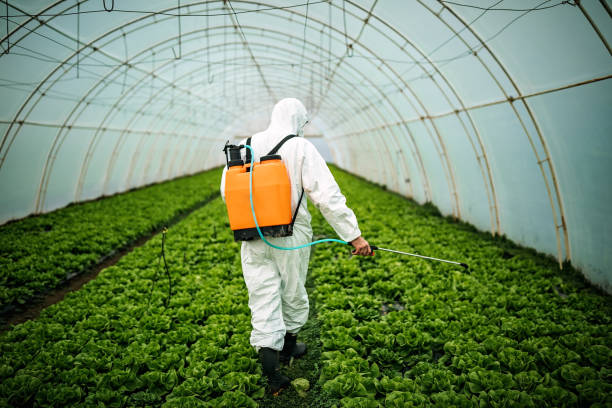 Best Pest Inspection Near Me  in Elizabeth, PA