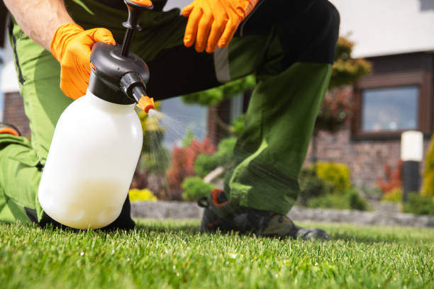 Best Local Pest Control Services  in Elizabeth, PA