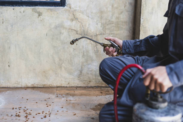 Best Exterminator Services  in Elizabeth, PA